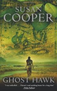 Ghost Hawk, Susan's latest book