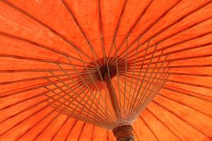 Orange parasol from below