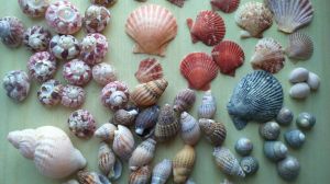 It's amazing what you can find if you look hard enough