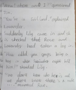 A story about a boy who accidentally finds himself in Girl Land...The girls, rather taken aback by his appearance and worried he will be slain, make him drink a magic potion that turns him into a girl...but he's deeply unhappy about this!