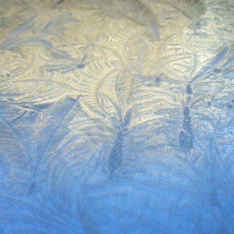 icy feathers 1