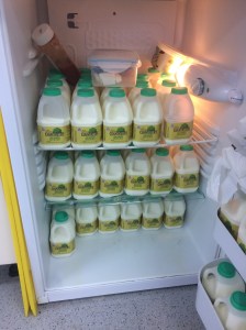 A surprise when I opened the staff room fridge...